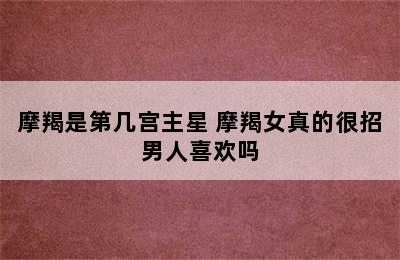 摩羯是第几宫主星 摩羯女真的很招男人喜欢吗